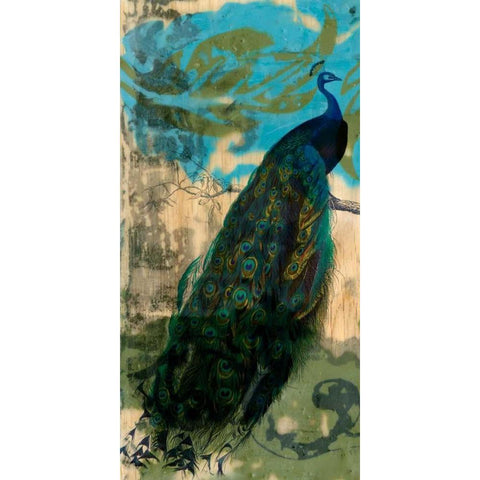 Rustic Peacock I Gold Ornate Wood Framed Art Print with Double Matting by Goldberger, Jennifer