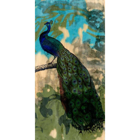 Rustic Peacock II Gold Ornate Wood Framed Art Print with Double Matting by Goldberger, Jennifer