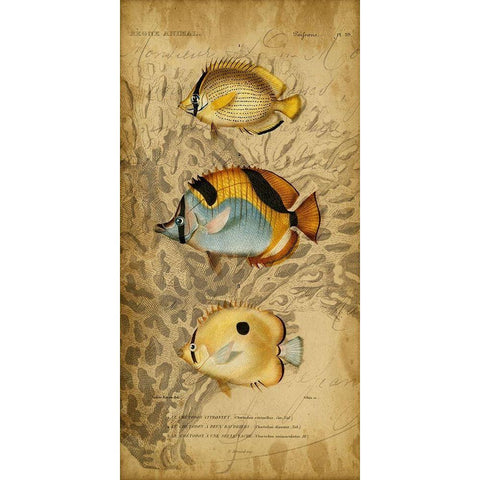 Custom Ocean Trilogy II (GC) White Modern Wood Framed Art Print by Vision Studio