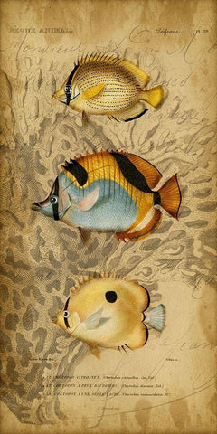 Custom Ocean Trilogy II (GC) Black Ornate Wood Framed Art Print with Double Matting by Vision Studio