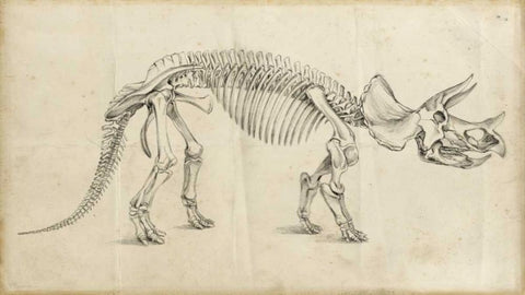 Dinosaur Study II Black Ornate Wood Framed Art Print with Double Matting by Harper, Ethan