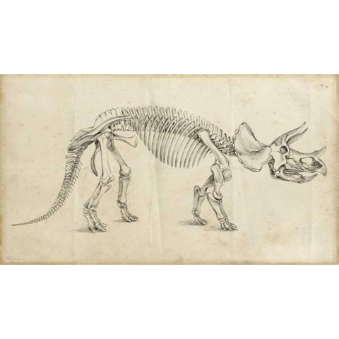 Dinosaur Study II Black Modern Wood Framed Art Print with Double Matting by Harper, Ethan