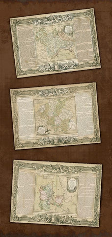 Weathered Maps II Black Ornate Wood Framed Art Print with Double Matting by Vision Studio