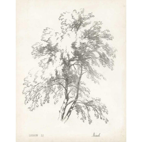 Birch Tree Study White Modern Wood Framed Art Print by Unknown