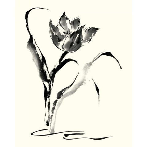 Studies in Ink - Tulip Gold Ornate Wood Framed Art Print with Double Matting by Rae, Nan