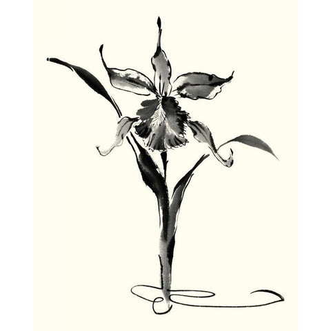 Studies in Ink - Cattleya Gold Ornate Wood Framed Art Print with Double Matting by Rae, Nan