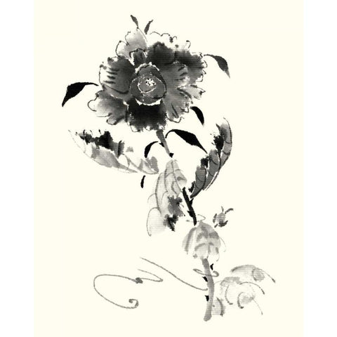 Studies in Ink - Rose I Gold Ornate Wood Framed Art Print with Double Matting by Rae, Nan