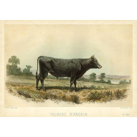 Taureau D Angeln Black Modern Wood Framed Art Print by Bonheur, I.