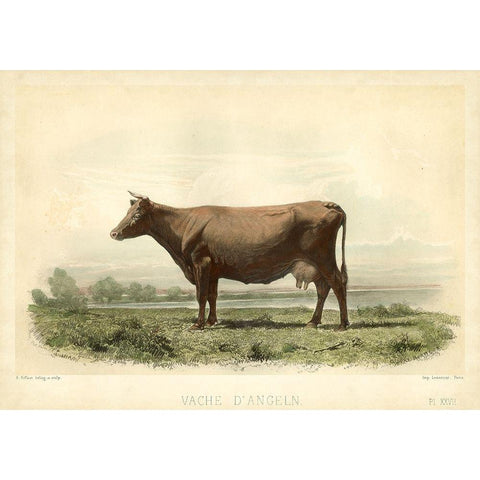 Vache D Angeln Black Modern Wood Framed Art Print by Bonheur, I.