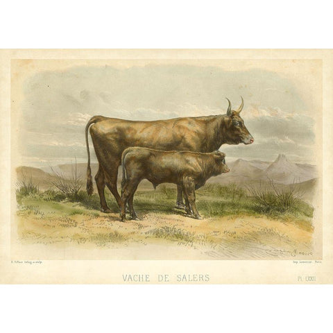 Vache De Salers Black Modern Wood Framed Art Print by Bonheur, I.