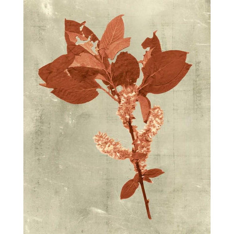 Impressions in Terra Cotta Gold Ornate Wood Framed Art Print with Double Matting by Vision Studio