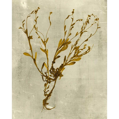 Impressions in Mustard Gold Ornate Wood Framed Art Print with Double Matting by Vision Studio