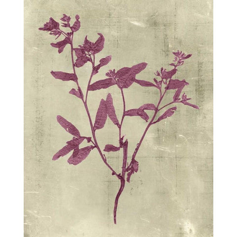 Impressions in Plum Gold Ornate Wood Framed Art Print with Double Matting by Vision Studio