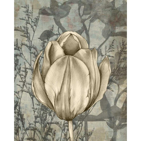 Tulip and Wildflowers I White Modern Wood Framed Art Print by Goldberger, Jennifer