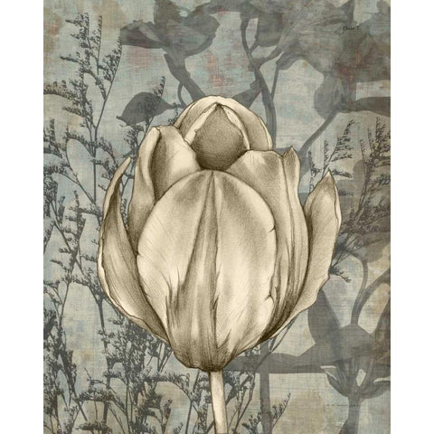 Tulip and Wildflowers I Black Modern Wood Framed Art Print with Double Matting by Goldberger, Jennifer