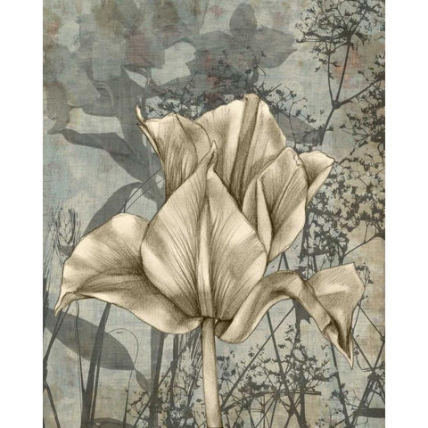 Tulip and Wildflowers IV White Modern Wood Framed Art Print by Goldberger, Jennifer