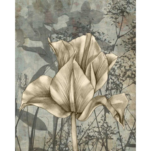 Tulip and Wildflowers IV Black Modern Wood Framed Art Print with Double Matting by Goldberger, Jennifer
