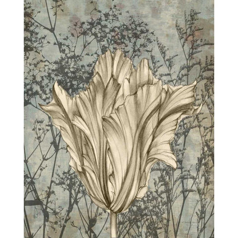 Tulip and Wildflowers V White Modern Wood Framed Art Print by Goldberger, Jennifer