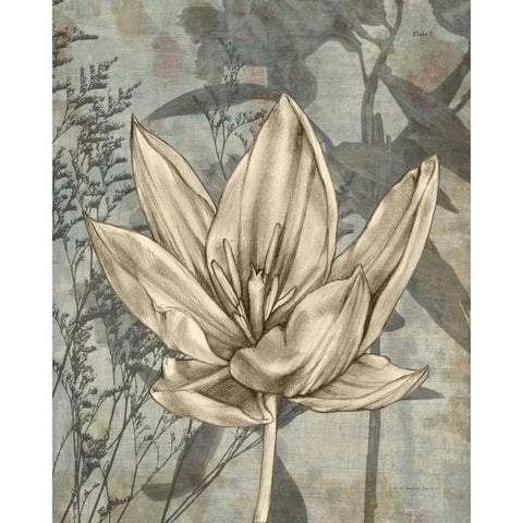 Tulip and Wildflowers VI Black Modern Wood Framed Art Print with Double Matting by Goldberger, Jennifer