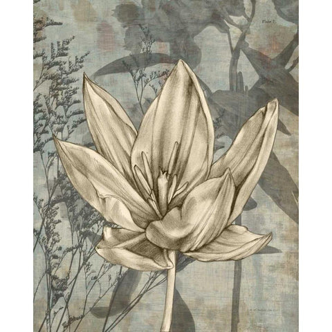 Tulip and Wildflowers VI Gold Ornate Wood Framed Art Print with Double Matting by Goldberger, Jennifer