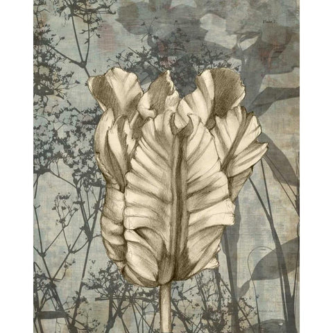 Tulip and Wildflowers VII Black Modern Wood Framed Art Print with Double Matting by Goldberger, Jennifer