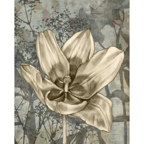 Tulip and Wildflowers VIII Black Modern Wood Framed Art Print with Double Matting by Goldberger, Jennifer