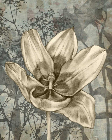 Tulip and Wildflowers VIII Black Ornate Wood Framed Art Print with Double Matting by Goldberger, Jennifer