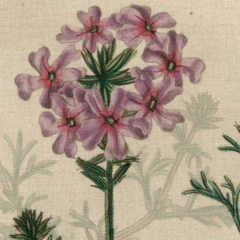 Floral Delight VI White Modern Wood Framed Art Print by Vision Studio