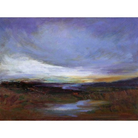 Coastal Wetlands Black Modern Wood Framed Art Print with Double Matting by Finch, Sheila