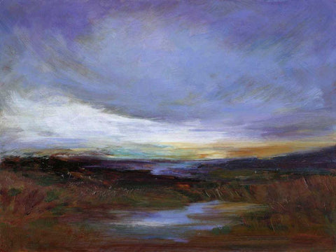 Coastal Wetlands Black Ornate Wood Framed Art Print with Double Matting by Finch, Sheila