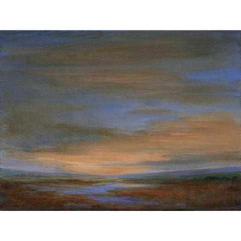 Wetlands Sunset Black Modern Wood Framed Art Print with Double Matting by Finch, Sheila