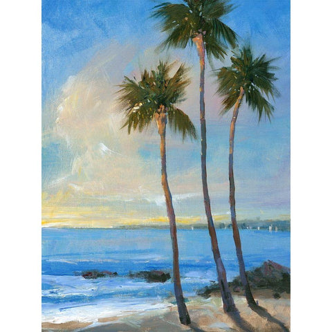 Tropical Breeze II Black Modern Wood Framed Art Print with Double Matting by OToole, Tim