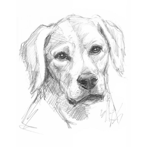 Constant Companion I Black Modern Wood Framed Art Print with Double Matting by Harper, Ethan