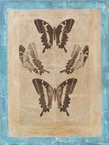 Bookplate Butterflies I Black Ornate Wood Framed Art Print with Double Matting by Vision Studio