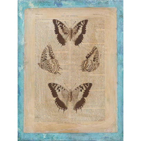 Bookplate Butterflies II White Modern Wood Framed Art Print by Vision Studio