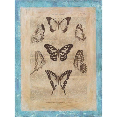 Bookplate Butterflies III Black Modern Wood Framed Art Print with Double Matting by Vision Studio