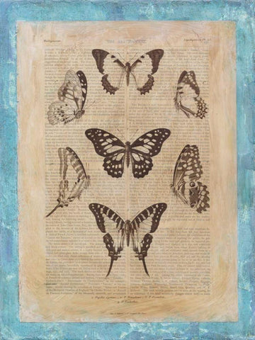 Bookplate Butterflies III Black Ornate Wood Framed Art Print with Double Matting by Vision Studio