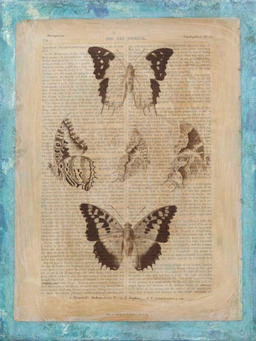 Bookplate Butterflies IV Black Ornate Wood Framed Art Print with Double Matting by Vision Studio