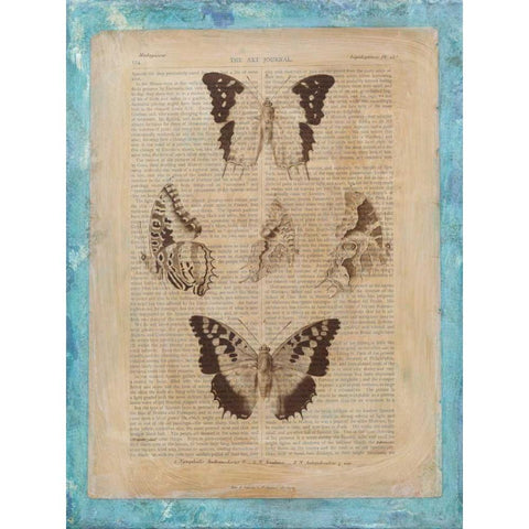 Bookplate Butterflies IV Gold Ornate Wood Framed Art Print with Double Matting by Vision Studio