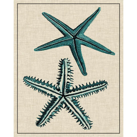 Coastal Starfish I White Modern Wood Framed Art Print by Vision Studio