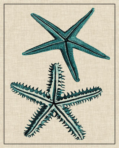 Coastal Starfish I Black Ornate Wood Framed Art Print with Double Matting by Vision Studio