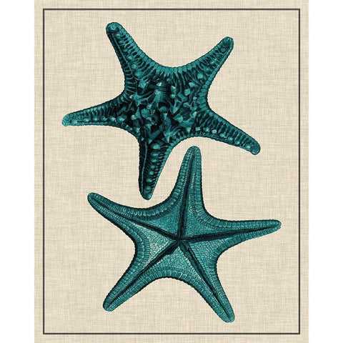 Coastal Starfish II Gold Ornate Wood Framed Art Print with Double Matting by Vision Studio