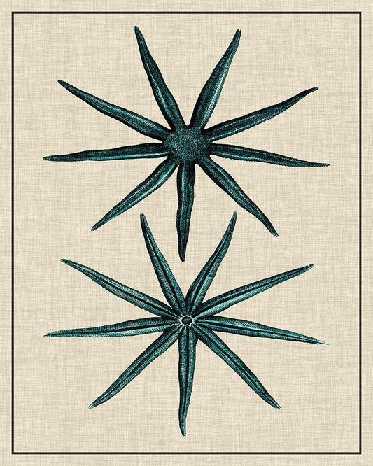 Image Only