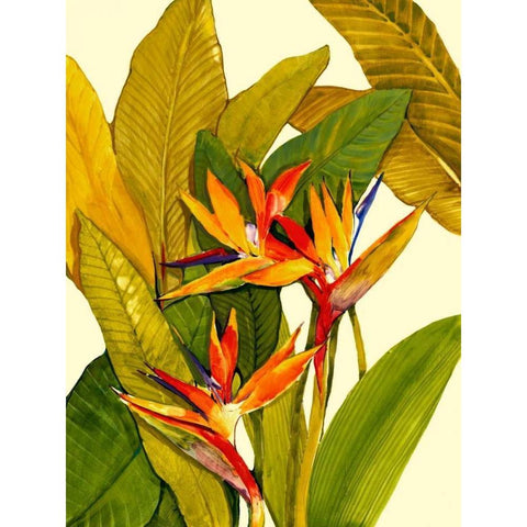 Tropical Bird of Paradise Gold Ornate Wood Framed Art Print with Double Matting by OToole, Tim