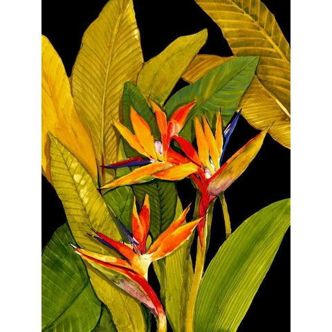 Dramatic Bird of Paradise Gold Ornate Wood Framed Art Print with Double Matting by OToole, Tim