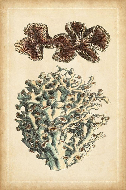 Image Only