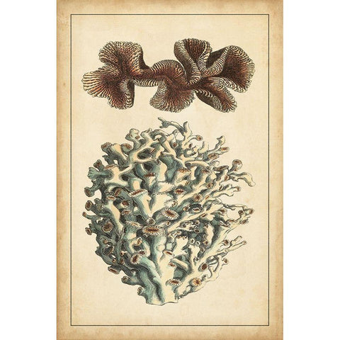 Coral Companion II White Modern Wood Framed Art Print by Vision Studio