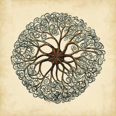 Gems of the Sea II Black Ornate Wood Framed Art Print with Double Matting by Vision Studio