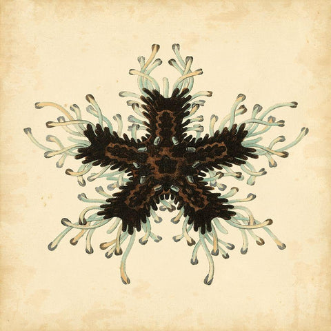 Gems of the Sea III Gold Ornate Wood Framed Art Print with Double Matting by Vision Studio