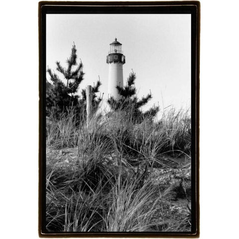 Cape May Afternoon I White Modern Wood Framed Art Print by DeNardo, Laura